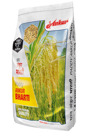 Paddy Bharti 