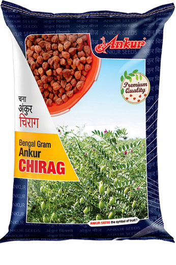 Research Gram Chirag 