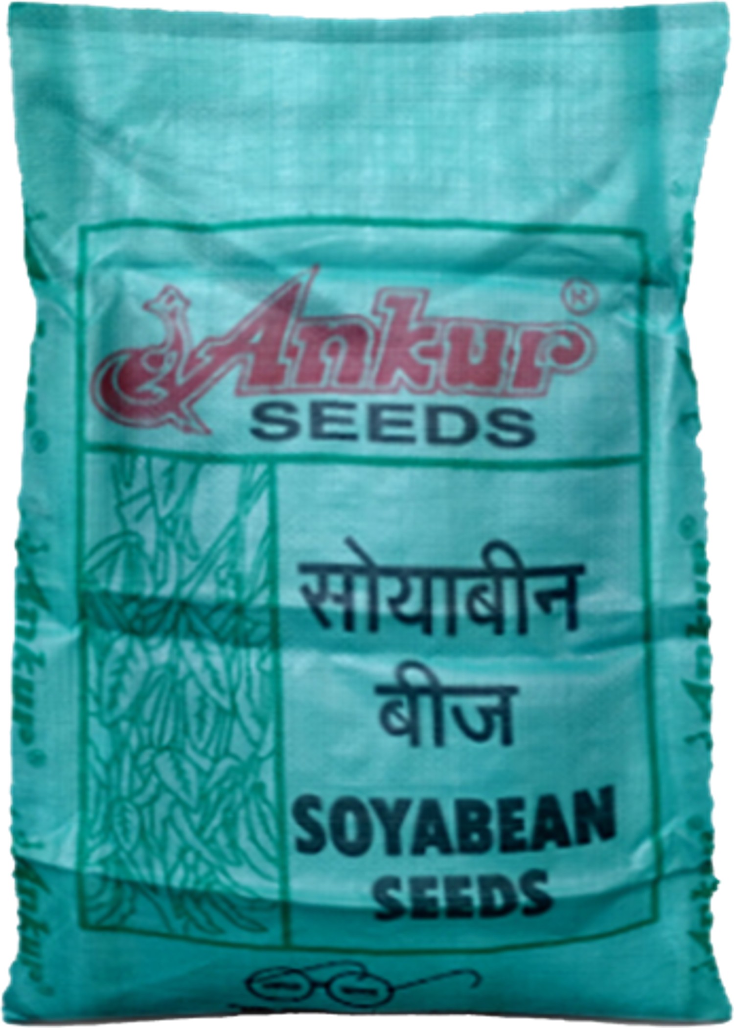 Soybean - JS 9305 