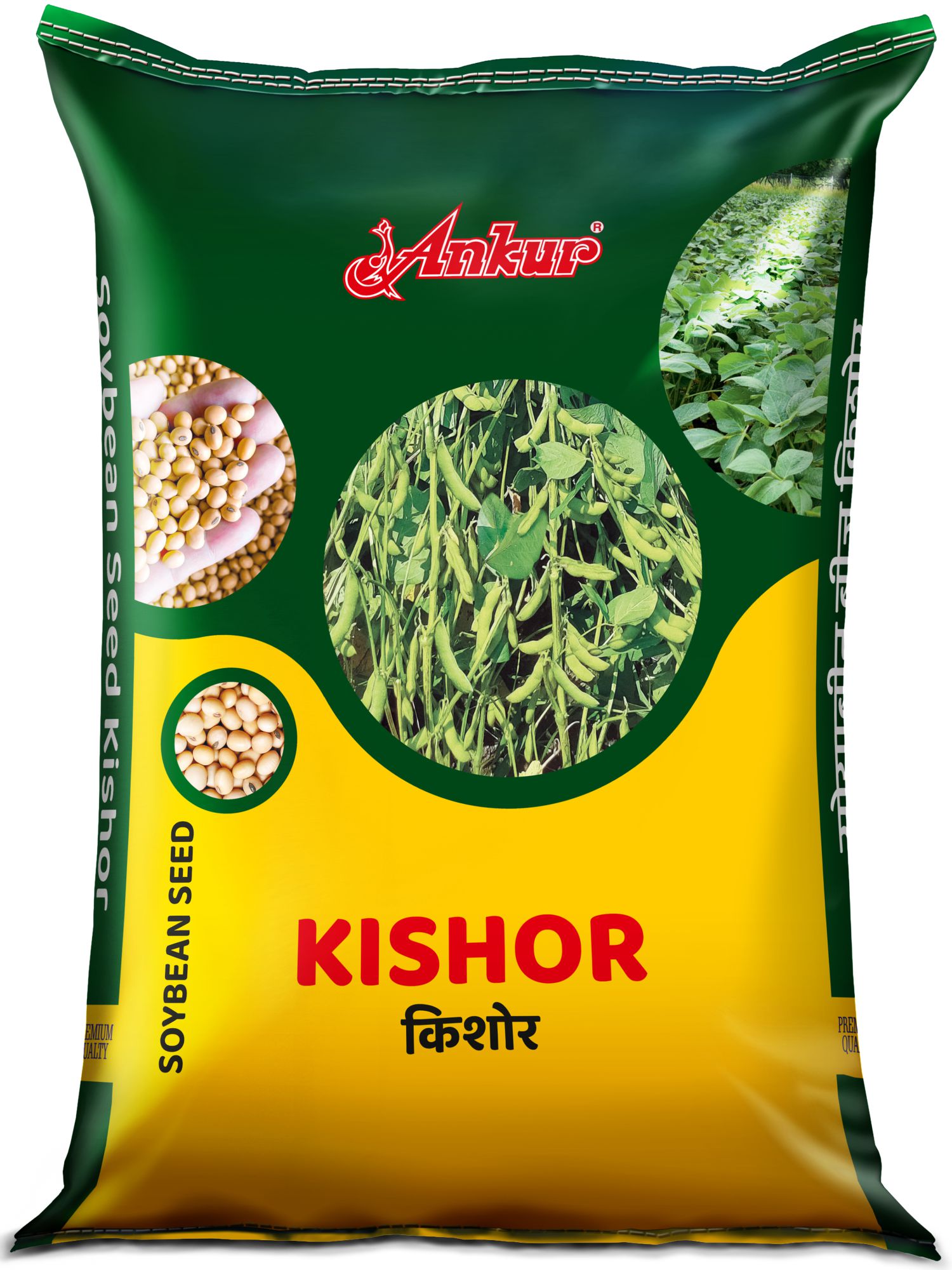 Soybean - Kishor 