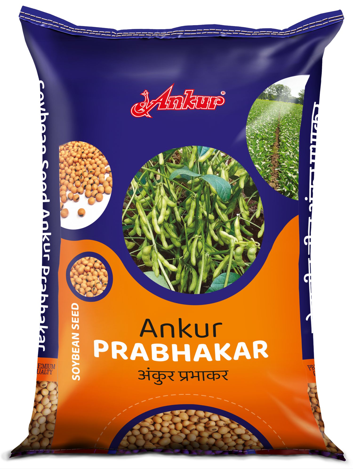 Soybean Prabhakar 