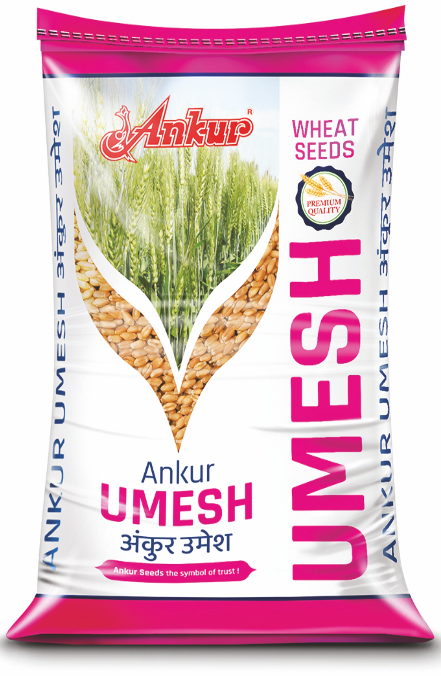 Wheat Ankur Umesh 